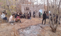 برگزاری دوره آموزشی کنترل خسارت در باغات گیلاس برای تولید محصولات کشاورزی سالم گواهی شده