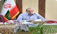 513 پروژه بخش کشاورزی سیستان وبلوچستان در دهه فجر آماده بهره‌برداری است