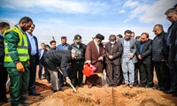 همه آحاد جامعه باید برای حفظ و نگهداشت درختان تلاش کنند
