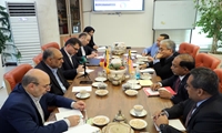محمدعلی نیکبخت و وزیر امور خارجه مالزی در تهران دیدار و گفتگو کردند