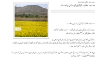 100 درصد مطالبات کلزاکاران کردستانی پرداخت شد
