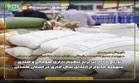 توزیع 917 تن برج تنظیم بازاری هومالی و هندی سهمیه خانوار از ابتدای سال جاری در استان