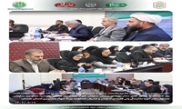احداث گلخانه‌ها از برنامه‌های جدی الگوی کشت است