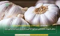 محل شهرک تخصصی صنایع غذایی و فرآوری سیر شناسایی شد