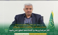امسال زمستان با موافقت استاندار همدان، گاز مرغداری‌ها و گلخانه‌ها قطع نمی‌شود