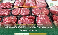 توزیع بیش از 3 هزار و 700 کیلوگرم گوشت گرم در استان همدان