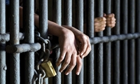 هفت سال حبس و 74 ضربه شلاق، مجازات افراد متخلف بهداشتی در شهرستان تبریز