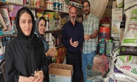 پوسیدگی پیاز زعفران خسارتی در کمین کشاورزان