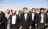 بازدید وزیر جهاد کشاورزی از گلخانه هیدروپونیک در شهرستان دیواندره