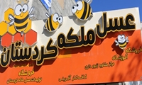 بخش خصوصی و فعالیتی سودآور
