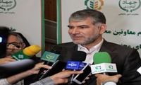 الگوی کشت از هفته آینده در کشور اجرا می‌شود/ اعمال کمک‌های فنی اعتباری وزارت جهاد کشاورزی بر اساس الگوی کشت