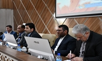 خرید بیش از چهار میلیون تن گندم در کشور/ افزایش 31 درصدی خرید تضمینی