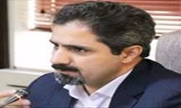 خرید بیش از 80 هزار تن گندم از کشاورزان؛ امسال بیش از 31000 هکتار زیر کشت گندم می‌رود