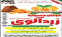 آغاز برداشت زردآلو از 2 هزار 425 هکتار از باغات شهرستان مرند