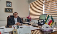 ایجاد سایت باغچه های خانگی کاشت سبزی و صیفی در شهرستان بناب