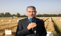 ساداتی‌نژاد تاکید کرد: حمایت از تحقیقات، پژوهش و فناوری اولویت اول وزارت جهاد کشاورزی