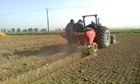 شروع کاشت محصول زمینی در شهرستان طارم