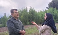 وابستگی سنتی و معیشتی بزرگترین تهدید برای جنگل‌ها است