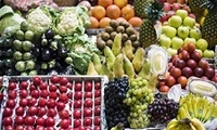 اخذ شناسه QR Code احتمال برگشت محصولات صادراتی را به صفر می‌رساند