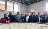 همکاری با بخش خصوصی با هدف رفع نیازمندیهای فنآورانه شرکتها از اولویتهای اصلی پژوهشگاه است