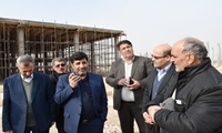 ممقان قطب تولید نخودچی در جهان / تولید سالانه 130 هزارتن نخودچی در ممقان