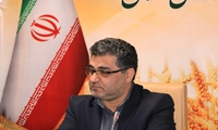 رشد 10 درصدی جوجه‌ریزی در مرغداری‌های استان کردستان