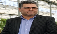سالانه باید در کردستان 3 میلیون اصل نهال غیر مثمر کاشته شود