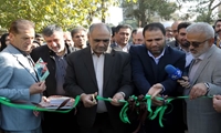 طرح کاشت یک میلیارد درخت سرعت می‌گیرد/ افتتاح اولین نهالستان دانش آموزی کشور در مدرسه ماندگار البرز