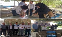 کیل گیری مزرعه یونجه