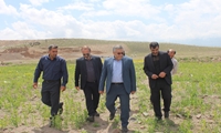 ارتقای سطح معیشت زارعین دیم کار با اجرای طرح جهش تولید در دیم زارهای آذربایجان شرقی