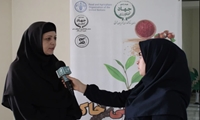 مصرف بی‌رویه سموم و نقش آن در فرسایش خاک