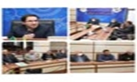 کشت قراردادی برنج منجر به حذف واسطه ها در تو لید این محصول می شود