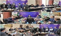 کاشت 10 میلیون درخت در چهارمحال و بختیاری