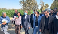 وزیر جهاد کشاورزی از مزرعه نمونه کشوری در استان تهران بازدید کرد (تکراری کار شده)