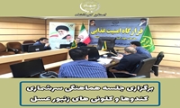 سرشماری کندوها و کلونی های زنبور عسل از 16 مهرماه الی 28 مهرماه در استان کرمانشاه انجام خواهد شد
