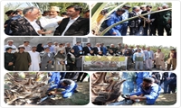 مانور مبارزه با آفت سرخرطومی حنایی در عنبرآباد برگزار شد