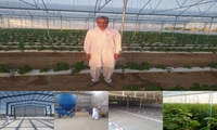 سرمایه‌گذاری بیش از 5900 میلیارد ریالی بخش خصوصی برای توسعه کشاورزی سیب و سوران