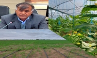 مهلت بیمه محصولات زراعی و باغی تا 15 بهمن ماه تمدید شد.