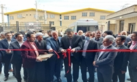واحد 336 تنی پرورش قارچ در شهرستان قرچک با حضور استاندار تهران به بهره برداری رسید
