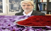 پرداخت مطالبات زعفران‌کاران