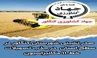 صدر نشینی شهرستان کنگاور در جذب تسهیلات خط 11 مکانیزاسیون  در استان  کرمانشاه
