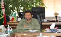 توزیع گوشت منجمد با کیفیت جهت تنظیم بازار