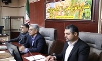 تعهدات جوجه‌ریزی استان سمنان در سه ماه تابستان انجام شد/ مشکلی در زمینه تأمین کالاهای اساسی در استان وجود ندارد