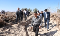 بازدید اعضای کمیسیون کشاورزی مجلس از باغات پسته رفسنجان