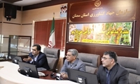 اختصاص سهمیه جدید مرغ منجمد به شهرستان‌های استان سمنان؛ عرضه مرغ منجمد در محل مصلی نماز جمعه انجام می‌شود
