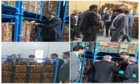 بازدید اعضای کمیته راهبردی میوه استان تهران از میوه ذخیره سازی شده استان برای ایام پایانی سال