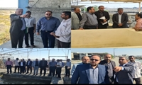 بازدید معاون وزیر و رئیس سازمان شیلات ایران از مرکز بازسازی ذخایر آبزیان خلیج فارس کلاهی،میناب