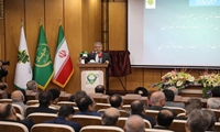 خودکفایی در گندمِ نان؛ دستاورد بزرگ وزارت جهاد کشاورزی در سال زراعی جاری/ خرید تضمینی گندم به 10 میلیون و 150 هزار تن رسید