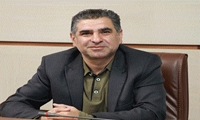 رشد 200 درصدی ذخیره‌سازی نهاده‌های دامی در قزوین