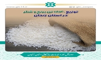 توزیع 1840 تن برنج و شکر در استان زنجان